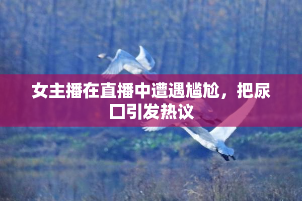 女主播在直播中遭遇尴尬，把尿囗引发热议