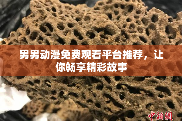 男男动漫免费观看平台推荐，让你畅享精彩故事