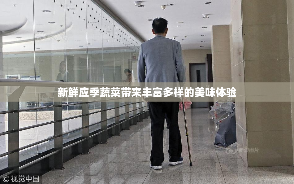 新鲜应季蔬菜带来丰富多样的美味体验