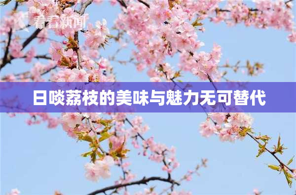 日啖荔枝的美味与魅力无可替代