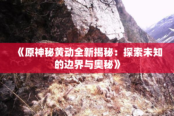 《原神秘黄动全新揭秘：探索未知的边界与奥秘》