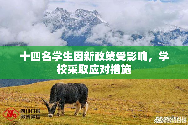 十四名学生因新政策受影响，学校采取应对措施