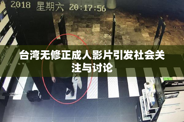 台湾无修正成人影片引发社会关注与讨论