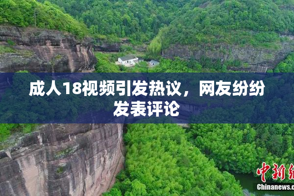 成人18视频引发热议，网友纷纷发表评论