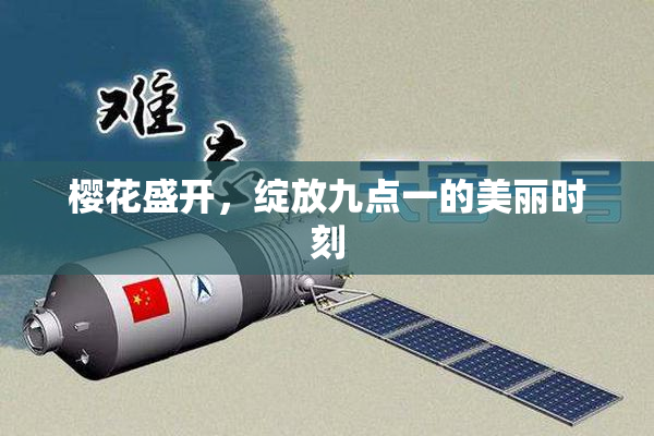 樱花盛开，绽放九点一的美丽时刻