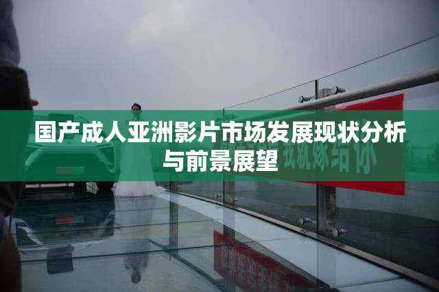 国产成人亚洲影片市场发展现状分析与前景展望