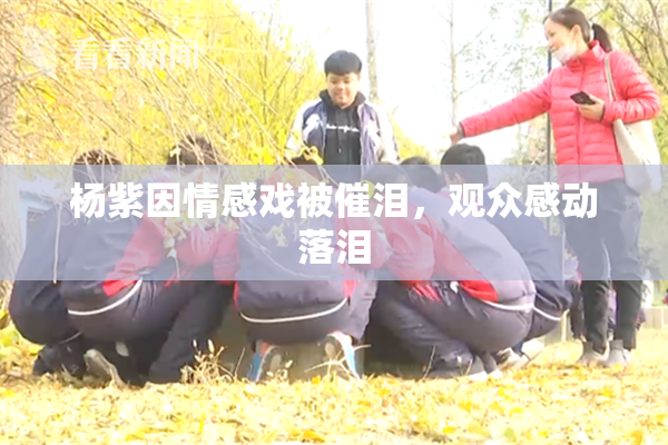 杨紫因情感戏被催泪，观众感动落泪