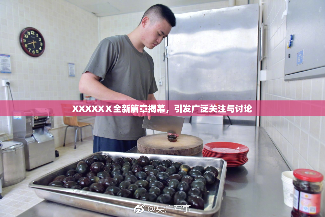 XXXXXⅩ全新篇章揭幕，引发广泛关注与讨论