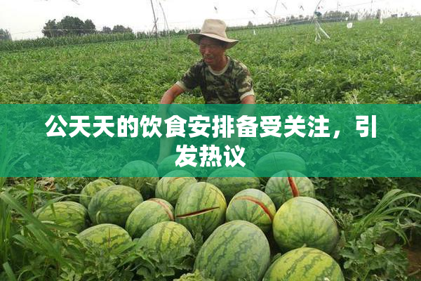 公天天的饮食安排备受关注，引发热议