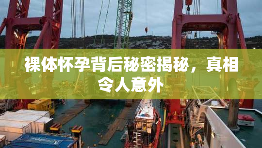 裸体怀孕背后秘密揭秘，真相令人意外