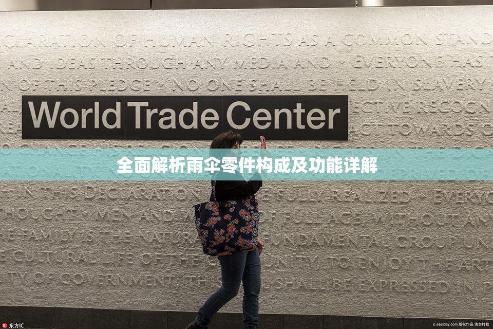 全面解析雨伞零件构成及功能详解