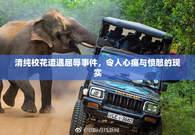 清纯校花遭遇屈辱事件，令人心痛与愤怒的现实