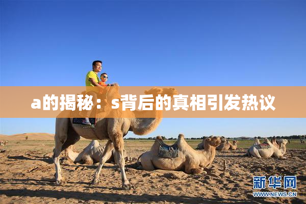 a的揭秘：s背后的真相引发热议