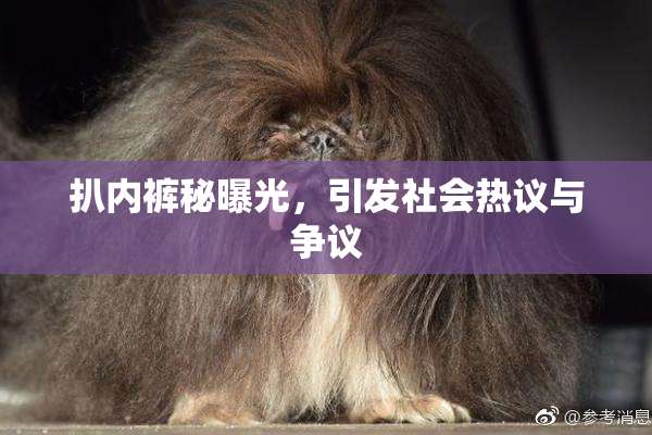 扒内裤秘曝光，引发社会热议与争议