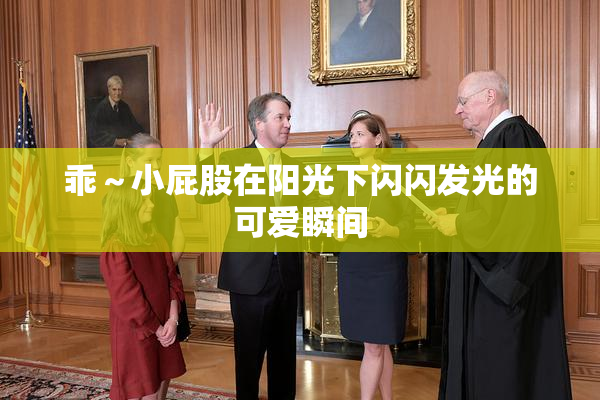 乖～小屁股在阳光下闪闪发光的可爱瞬间