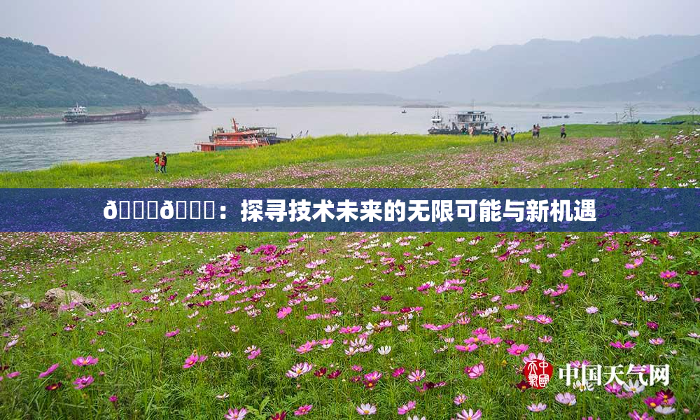 🔞🍆：探寻技术未来的无限可能与新机遇