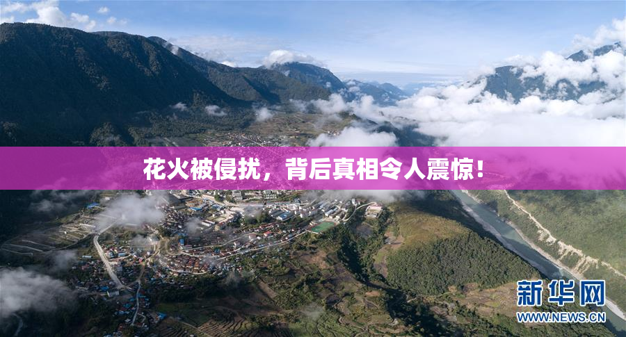 花火被侵扰，背后真相令人震惊！
