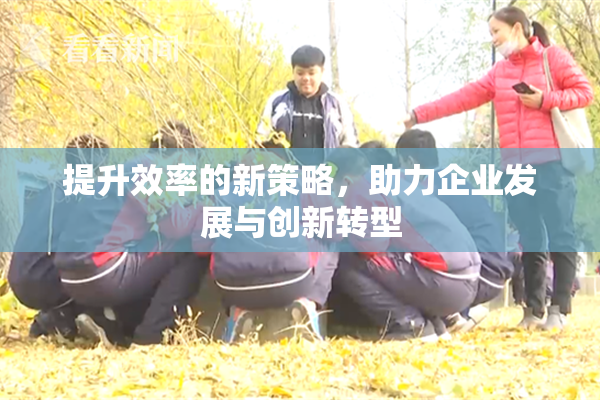 提升效率的新策略，助力企业发展与创新转型