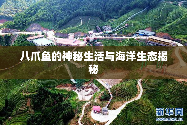 八爪鱼的神秘生活与海洋生态揭秘