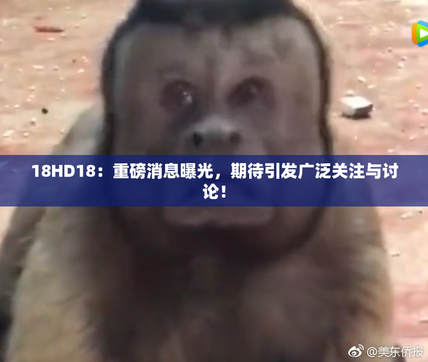 18HD18：重磅消息曝光，期待引发广泛关注与讨论！