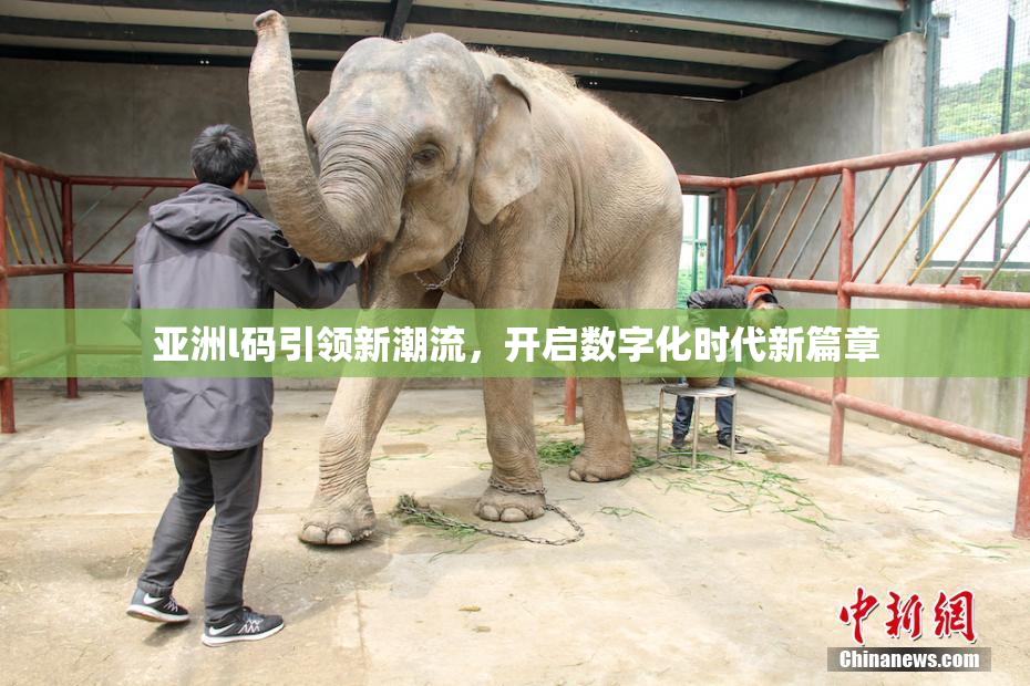 亚洲l码引领新潮流，开启数字化时代新篇章