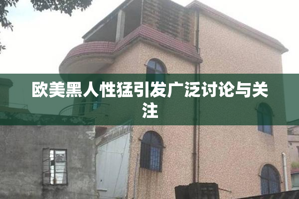 欧美黑人性猛引发广泛讨论与关注
