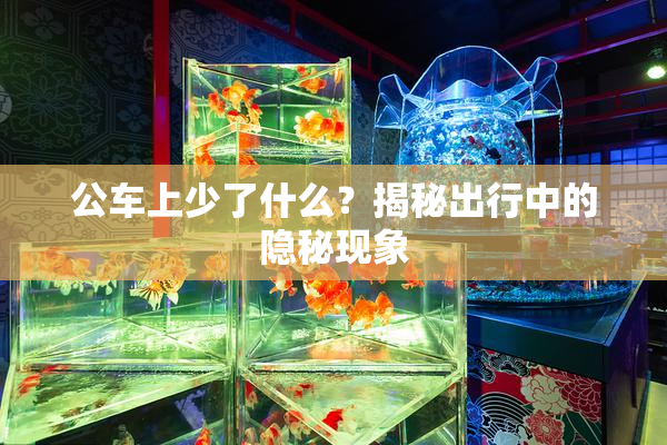 公车上少了什么？揭秘出行中的隐秘现象