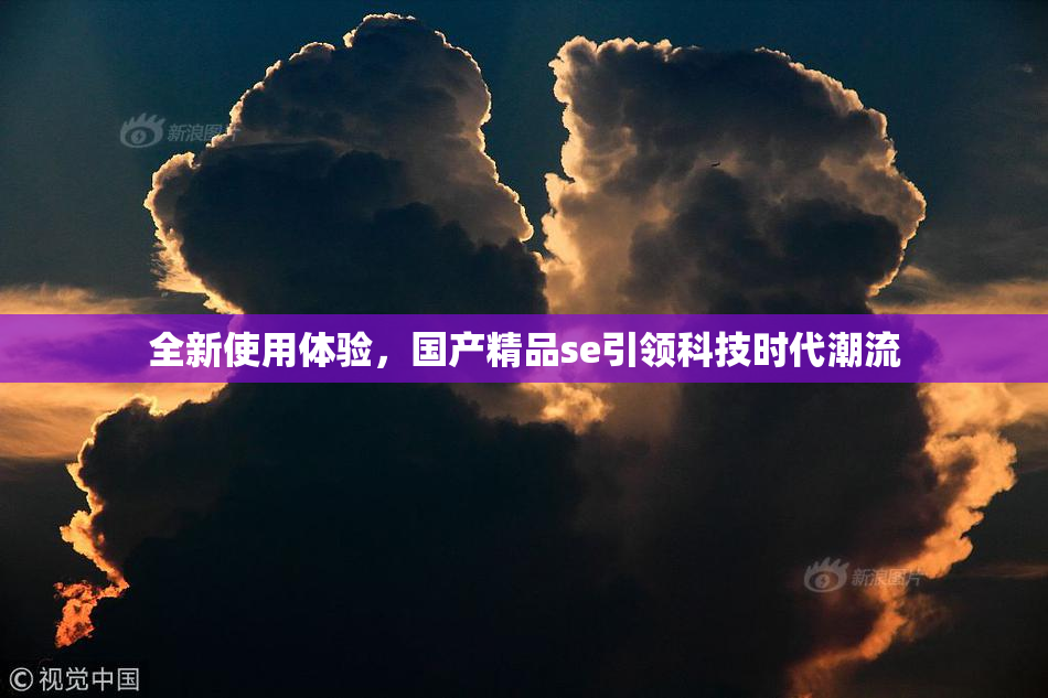 全新使用体验，国产精品se引领科技时代潮流