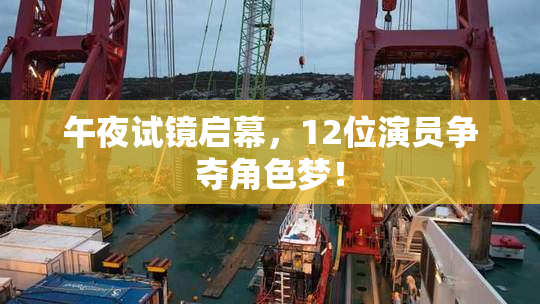 午夜试镜启幕，12位演员争夺角色梦！