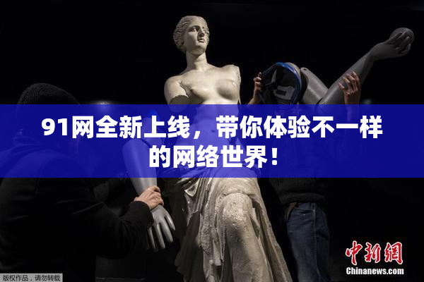 91网全新上线，带你体验不一样的网络世界！