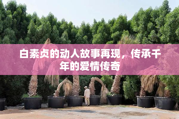 白素贞的动人故事再现，传承千年的爱情传奇