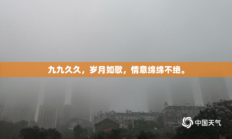 九九久久，岁月如歌，情意绵绵不绝。