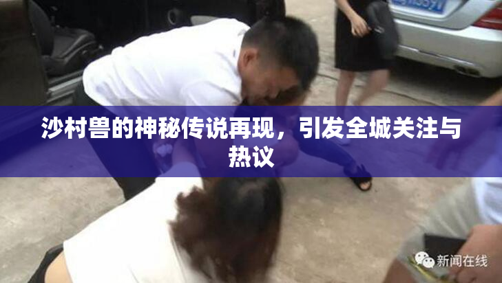 沙村兽的神秘传说再现，引发全城关注与热议