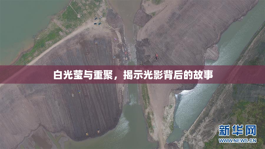 白光莹与重聚，揭示光影背后的故事