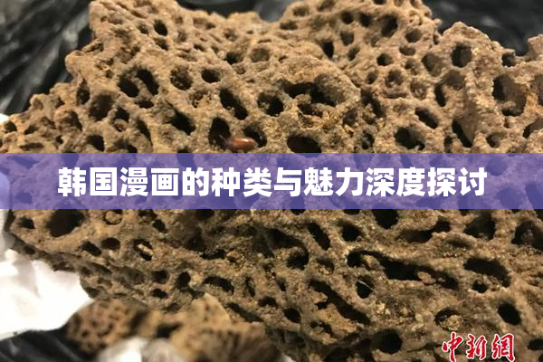 韩国漫画的种类与魅力深度探讨