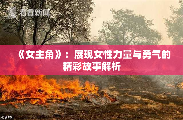 《女主角》：展现女性力量与勇气的精彩故事解析