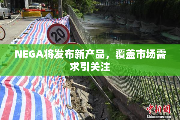 NEGA将发布新产品，覆盖市场需求引关注