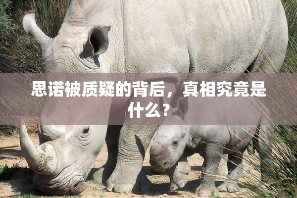 思诺被质疑的背后，真相究竟是什么？