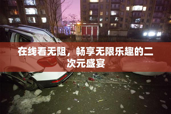 在线看无阻，畅享无限乐趣的二次元盛宴