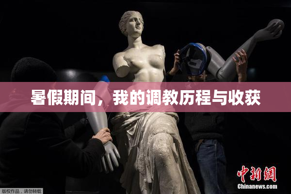 暑假期间，我的调教历程与收获