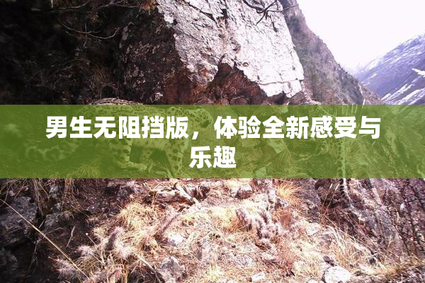 男生无阻挡版，体验全新感受与乐趣