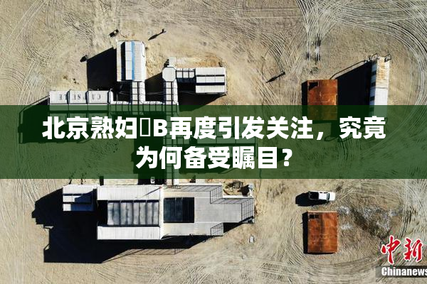 北京熟妇槡B再度引发关注，究竟为何备受瞩目？