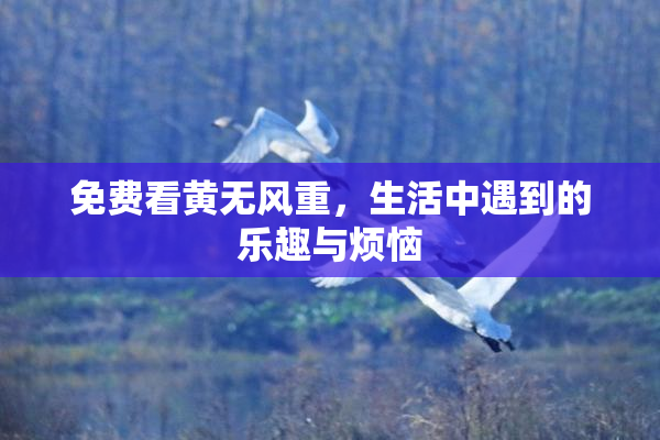 免费看黄无风重，生活中遇到的乐趣与烦恼