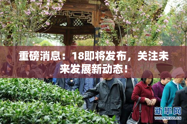重磅消息：18即将发布，关注未来发展新动态！