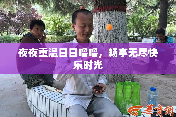 夜夜重温日日噜噜，畅享无尽快乐时光