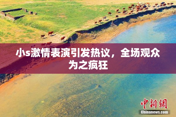小s激情表演引发热议，全场观众为之疯狂