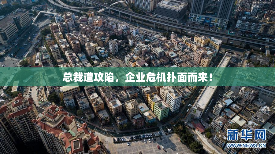 总裁遭攻陷，企业危机扑面而来！