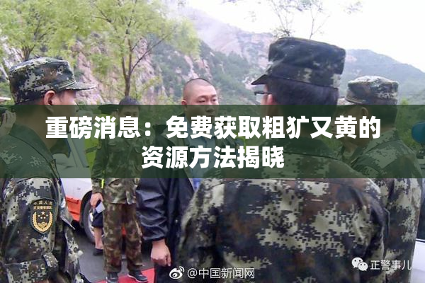 重磅消息：免费获取粗犷又黄的资源方法揭晓