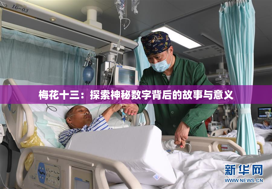梅花十三：探索神秘数字背后的故事与意义