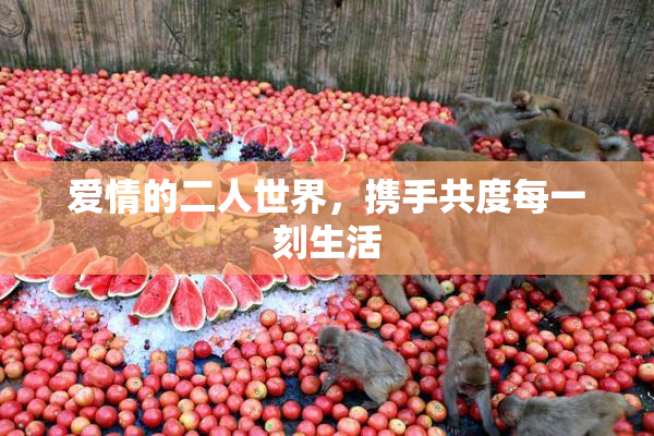 爱情的二人世界，携手共度每一刻生活